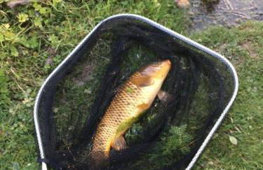 Gîte du banc de scie - Foto 49