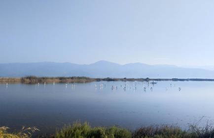 Traditional Luxury Villa ARMONIA - Foto 59