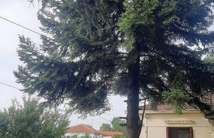 Country destination in mountainous Trikala! - Photo 5