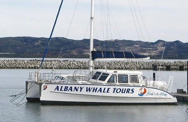 BIG4 Middleton Beach Holiday Park - Foto 68