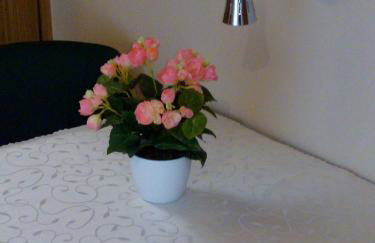 Dom Wakacyjny Quattro Niesulice - Foto 31