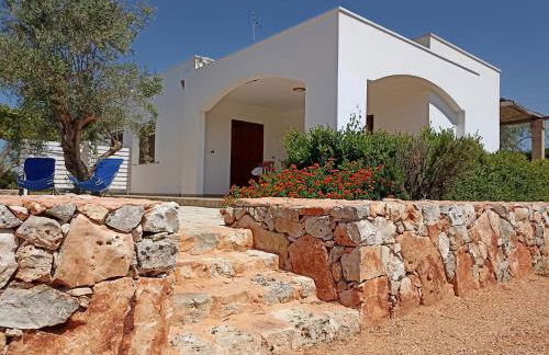 Tenuta Cazzato - Foto 1