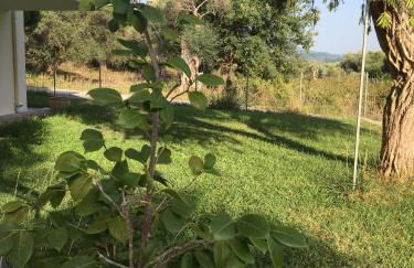 Armonia Apartment - Foto 32