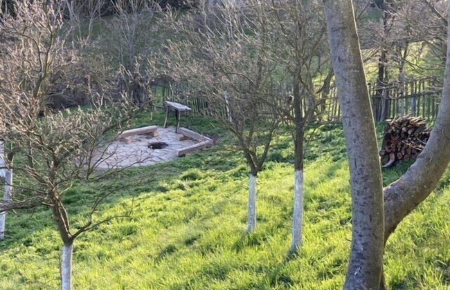 Cottage Anna With a Garden by Rivulet - Foto 20