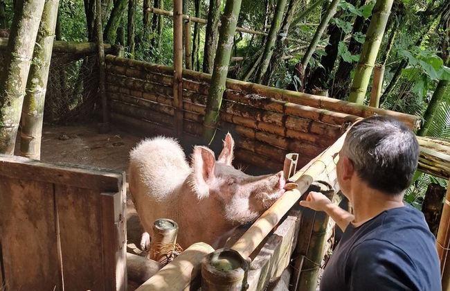 Casa Tien - Photo 77