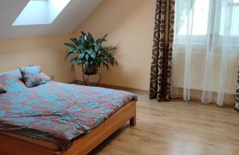 Dom na Kaszubach nad Jeziorem Gowidlińskim - całoroczny - Foto 3