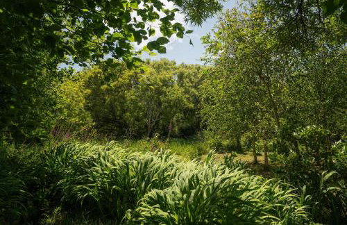 Naut Retreat - Idyllic hideaway with hot tub, gym & gamesroom ideally located in Zennor near St Ives - Photo 59