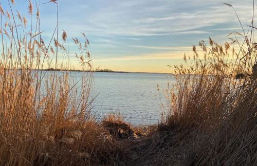 Haus mit Meerblick & Garten - Foto 8
