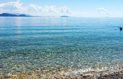 Vrachos Κanari - Photo 65