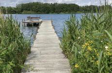 Labud 25 am Plöner See in Bosau - Foto 2