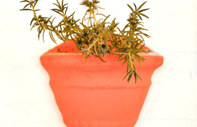 Tas Apart - Photo 29