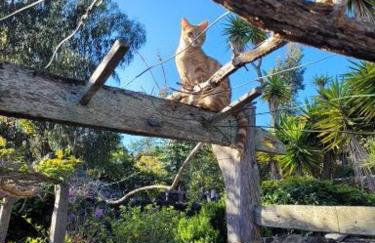 Finca El Lance - Foto 58