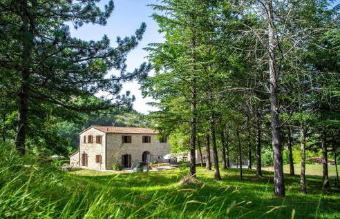 Valguerriera 5 - Rosa Gialla - Foto 6