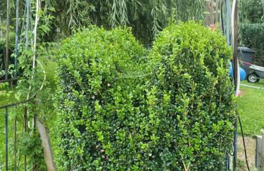 Ferienwohnung Forsthaus - Foto 13