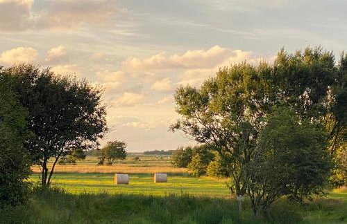 Haus Lichtblick - Foto 32