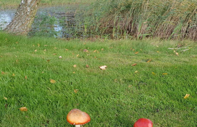 6 Person Holiday Home in Orsted - Foto 7