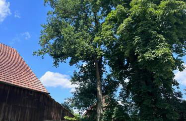 Modernes Bauernhaus - 3 Schlafzimmer, Kamin, Wohnzimmer, Küche, Bad - Foto 16