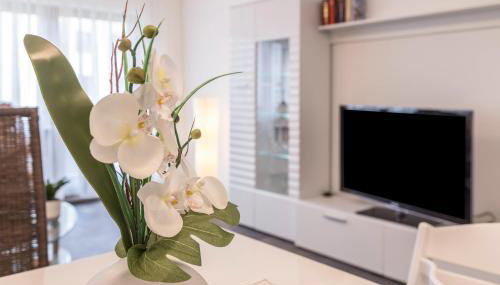 Heidis Dihei - Foto 5