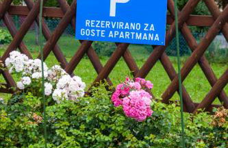 Apartmani Strsoglavec - Foto 35