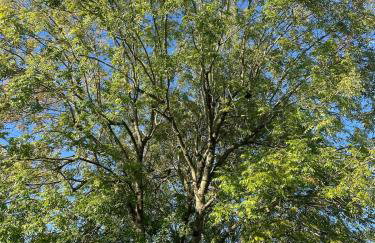 The Cabin at Box Cottage - Foto 9