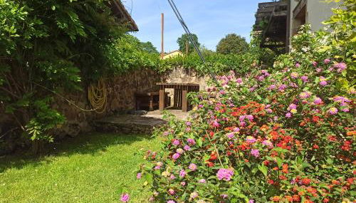 La Casuca de Margot - Foto 5