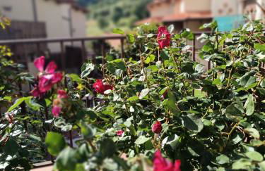 EL BALCÓN PANORÁMICO DE GREDOS - Foto 60