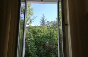 La maison Bleue - Foto 31