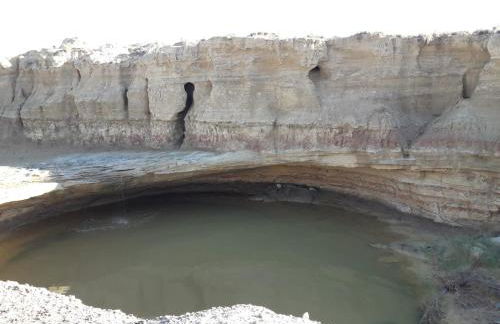 La Manguita Bardenas - Foto 20