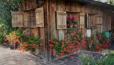 Maso Pinterato - Foto 3