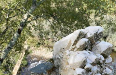 Quinta da Recochina - Foto 23