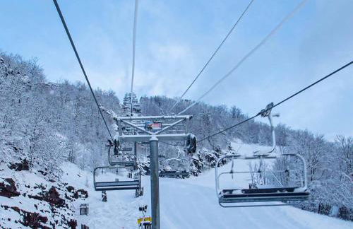 Modern Rustic Escape w/Hot Tub - High Falls Lodge - Foto 67