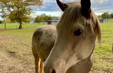 La Maison L'Eperon, stylish 5 star villa surrounded by vineyard near Saint Emilion - Foto 33