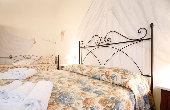 Gatto Bianco Tizzauli - Foto 14