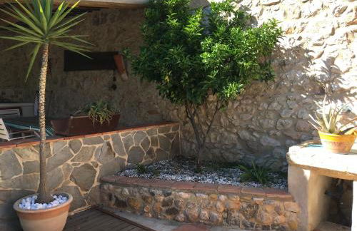 Jardin de Palme - Foto 59