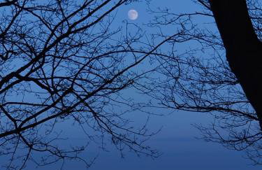 Ferienhaus am Gutspark 3, Klausdorf, ca 250 m bis zur Badestelle - Foto 32
