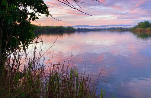 Villa climatisée calme avec piscine partagée Saint AYGULF/FREJUS - Foto 36