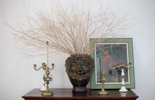 Gallo Fino - Foto 45