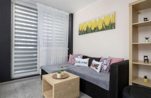 Charming Studio with Balcony in Katowice by Noclegi Renters - Foto 6
