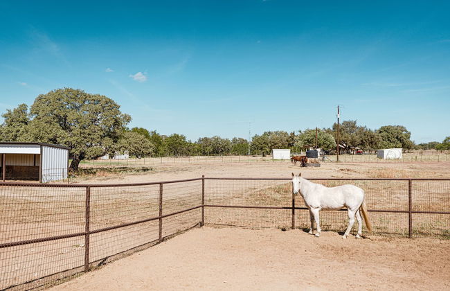 Faulkner Ranch - Foto 23