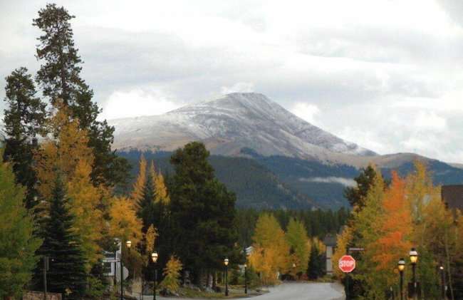 Moose Crossing - Photo 63