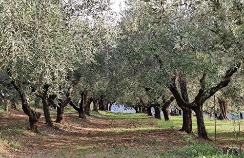 La Maggiolina Country House - Foto 55