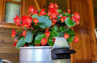 Apartamentos rurales Casa Rosi - Foto 31