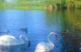 Apartments Korana, BelajskePoljice - Foto 23