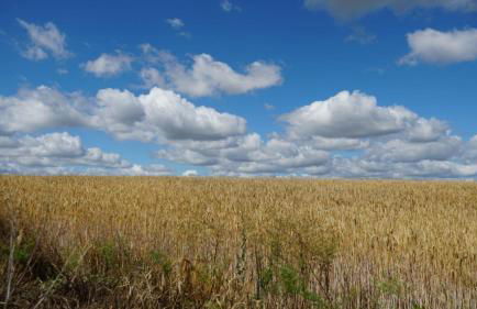 Pension Limone Ferienwohnung 2 - Foto 6