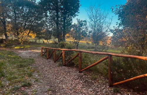 Antica Fiera - Foto 10