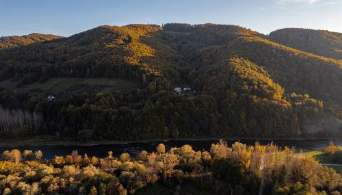 Scandihouse - Foto 2