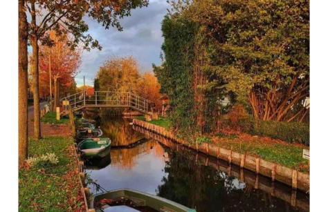 Appart Duplex Proche Centre - Foto 39