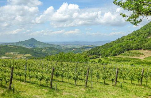 2 Bedroom Gorgeous Home In Vò Euganeo - Foto 6