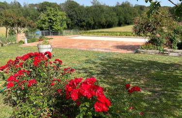 Can Figueretes II - Foto 12