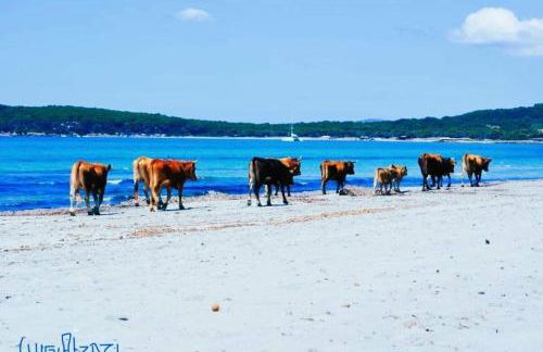 Agriturismo Santa Lucia - Foto 34